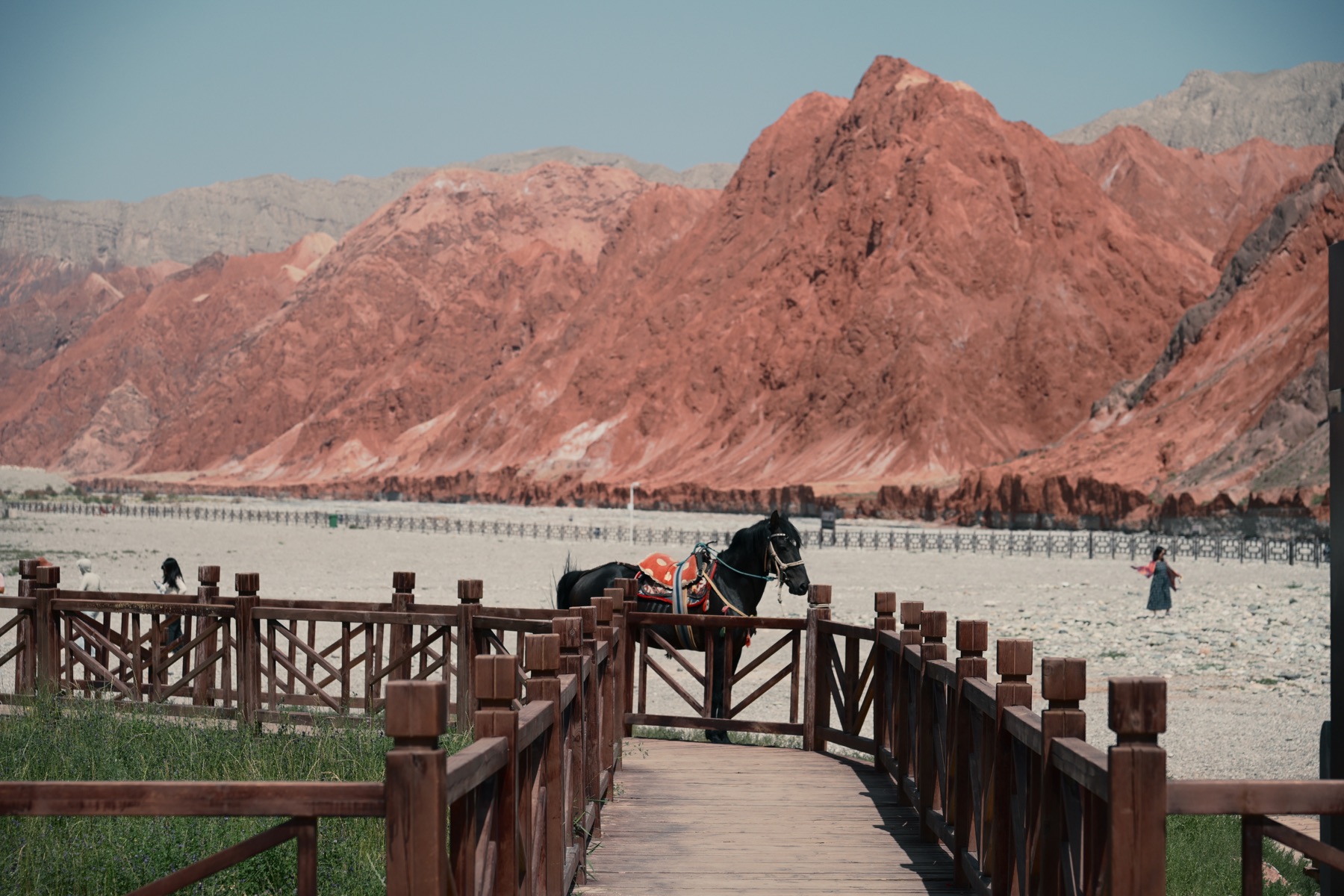 Xinjiang kırmızı dağları ve at